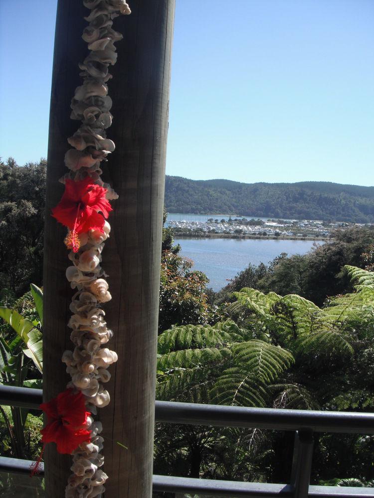 Whangamata Vistas B&B エクステリア 写真