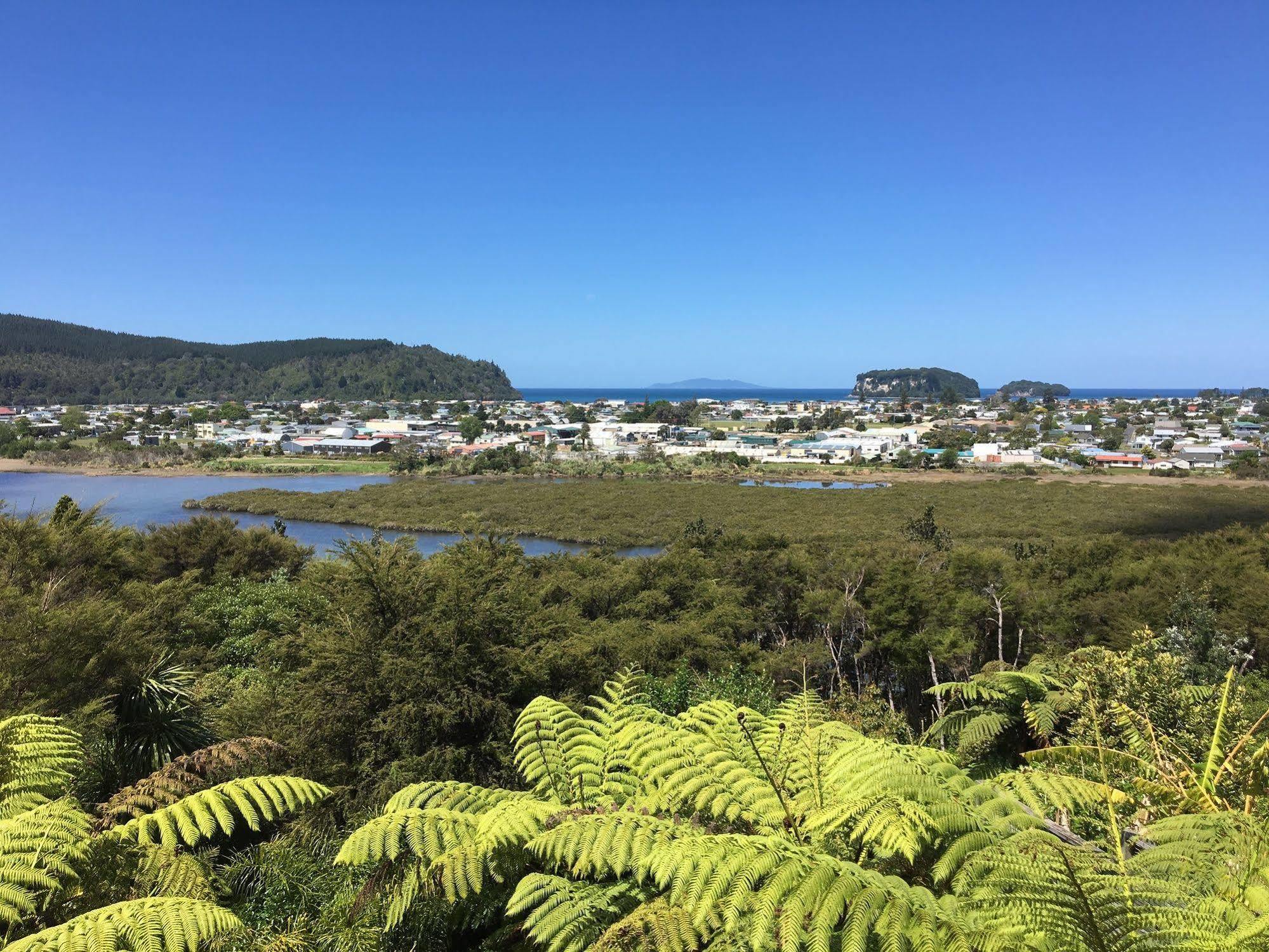Whangamata Vistas B&B エクステリア 写真